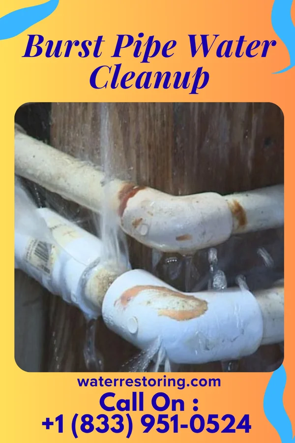 Burst Pipe Water Cleanup in Painted Post, NY