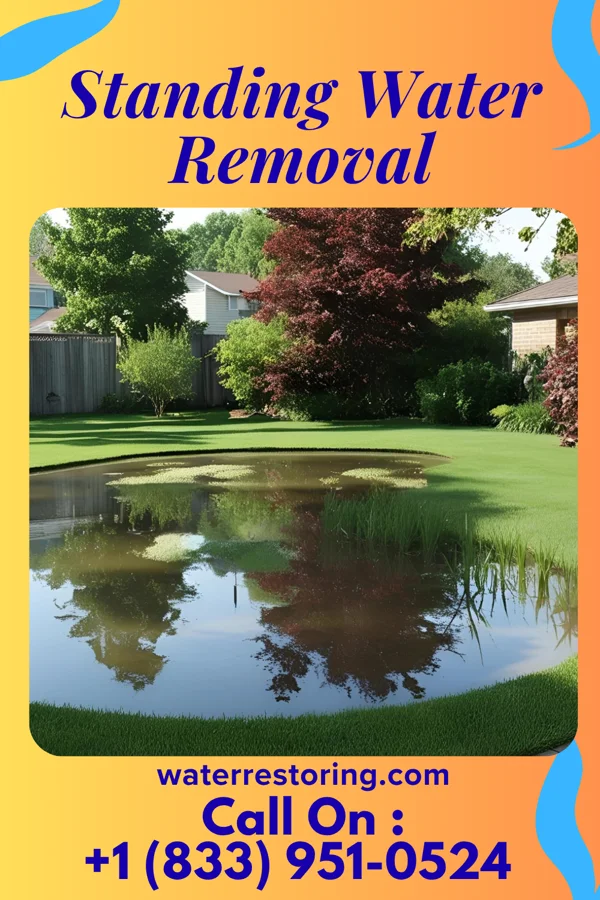 Standing Water Removal in Painted Post, NY